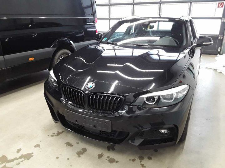 BMW 220D 2019 wba2u110407f27838