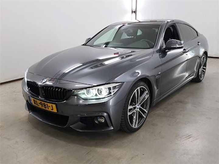 BMW 4-SERIE GRAN COUPE 2018 wba4h31080bh10276