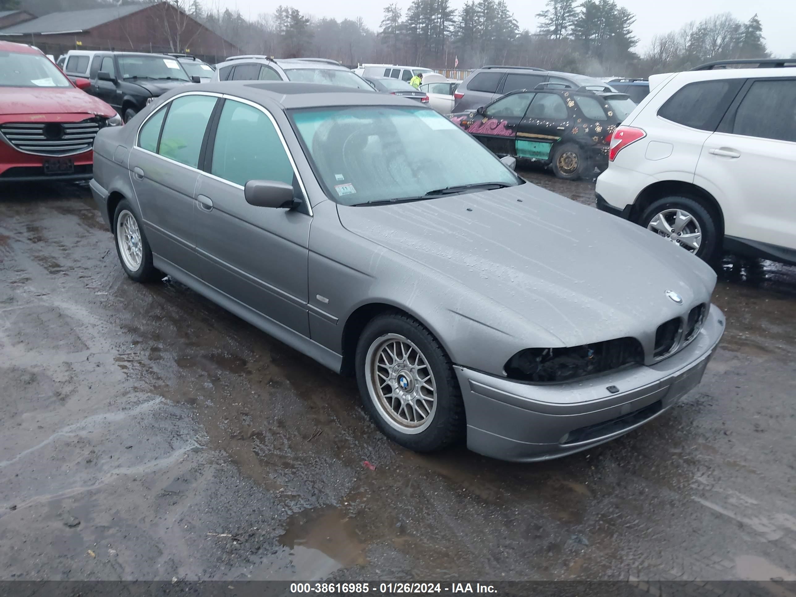 BMW 5ER 2002 wbadt43482gz96718