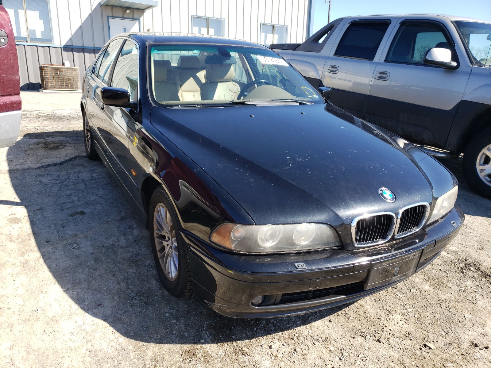 BMW 530 I AUTO 2003 wbadt63483ck40441