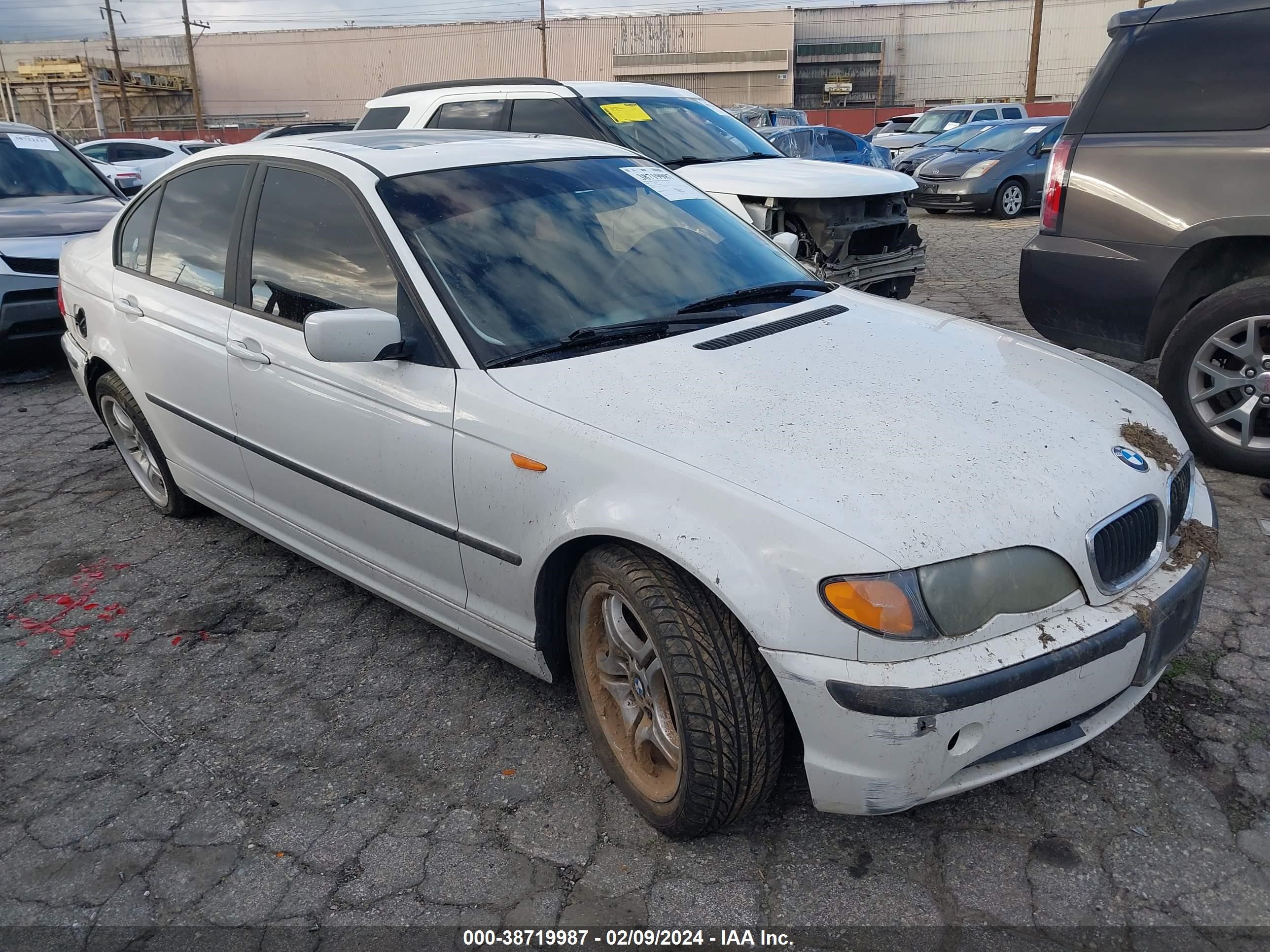 BMW 3ER 2003 wbaet37403nj40822