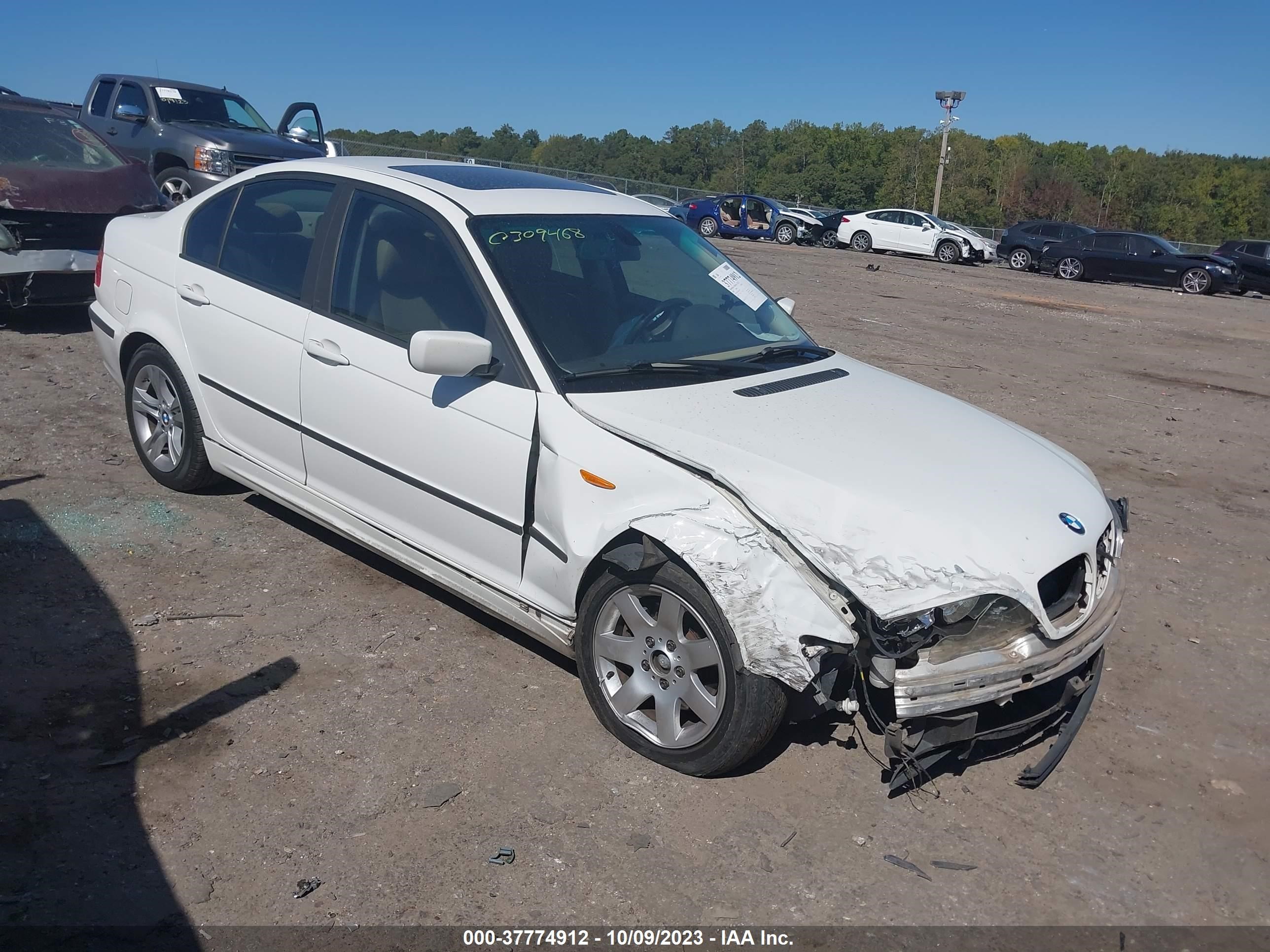 BMW 3ER 2003 wbaet37443nj32092