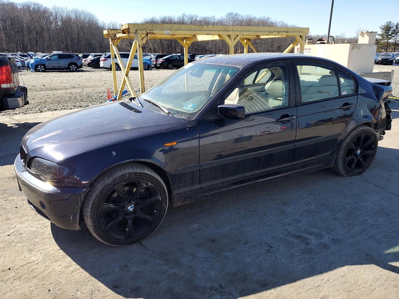 BMW 3ER 2003 wbaeu33463pm57480