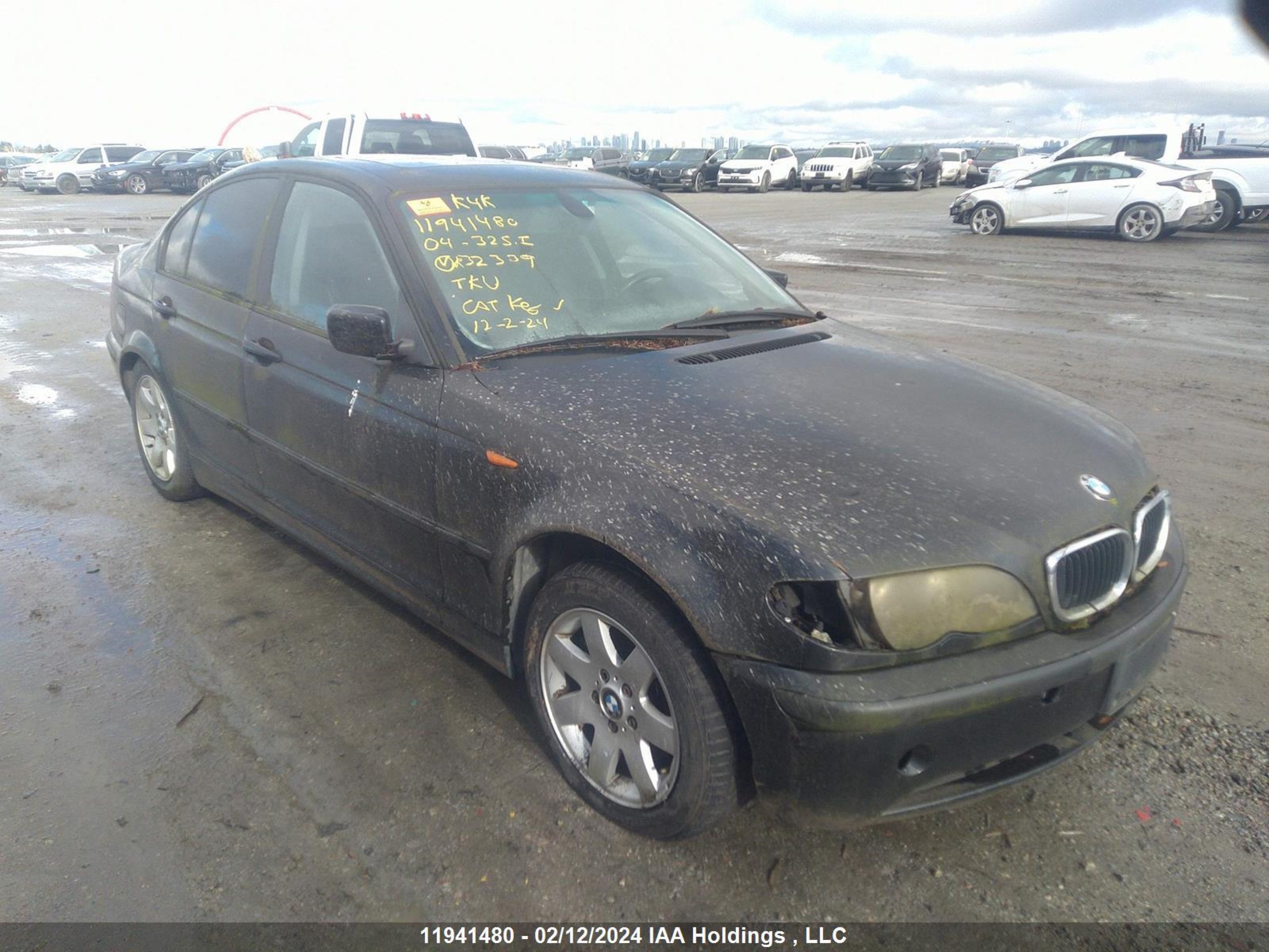 BMW 3ER 2004 wbaev33494kr32339