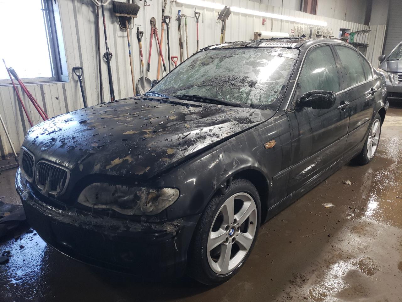 BMW 3ER 2004 wbaew53454pn32550