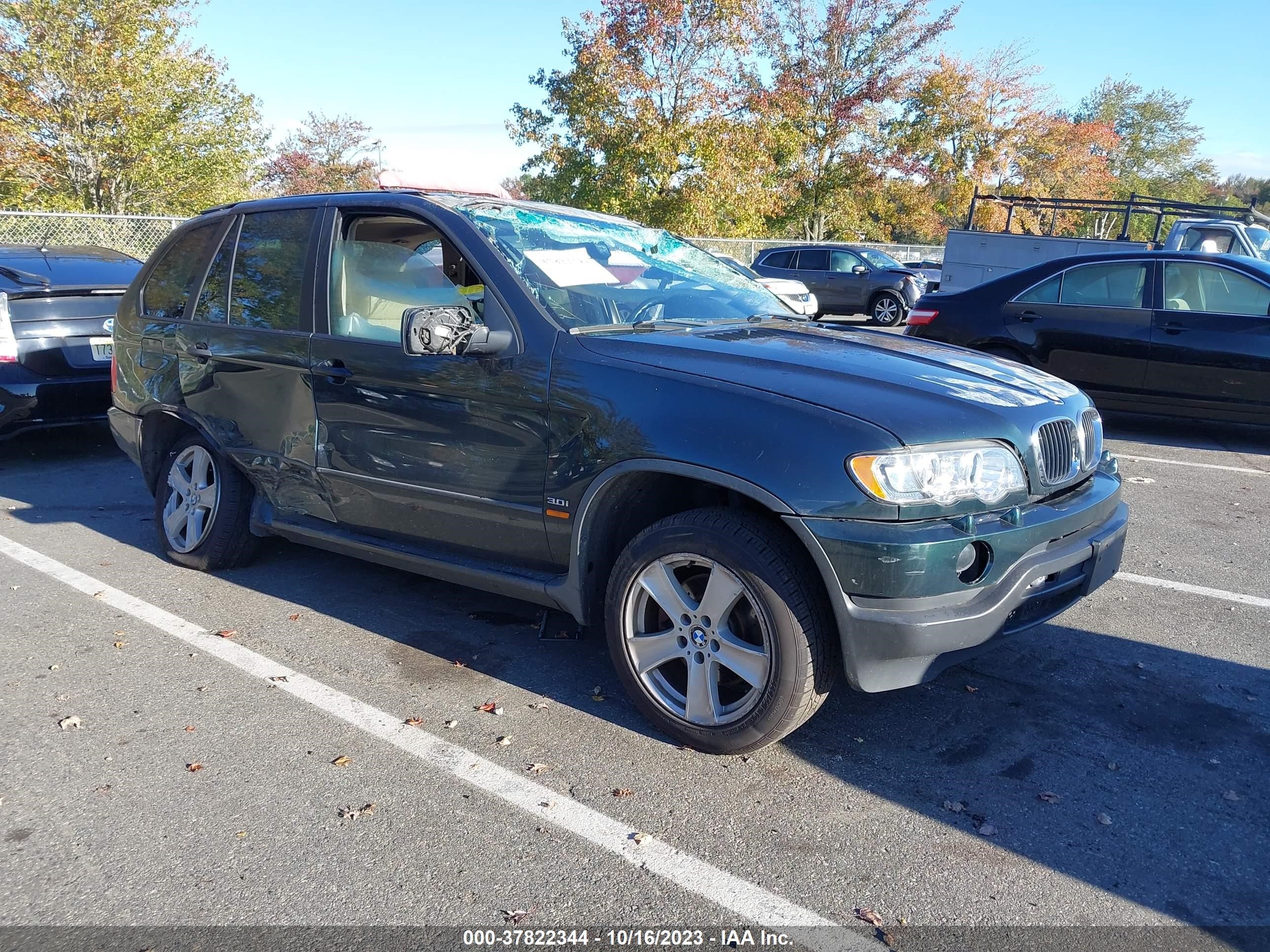 BMW X5 2001 wbafa53591lm83917