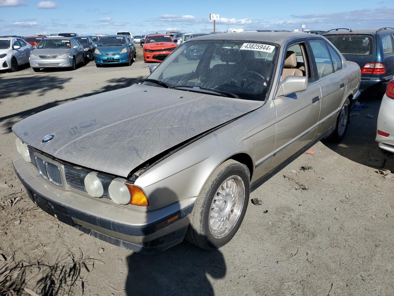 BMW 5ER 1989 wbahc2302k2085283