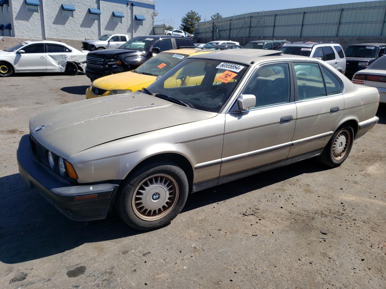 BMW 5ER 1990 wbahc2319lbe31438