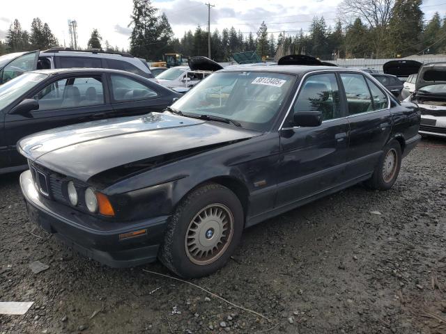 BMW 525 I AUTO 1994 wbahd6327rgk45354