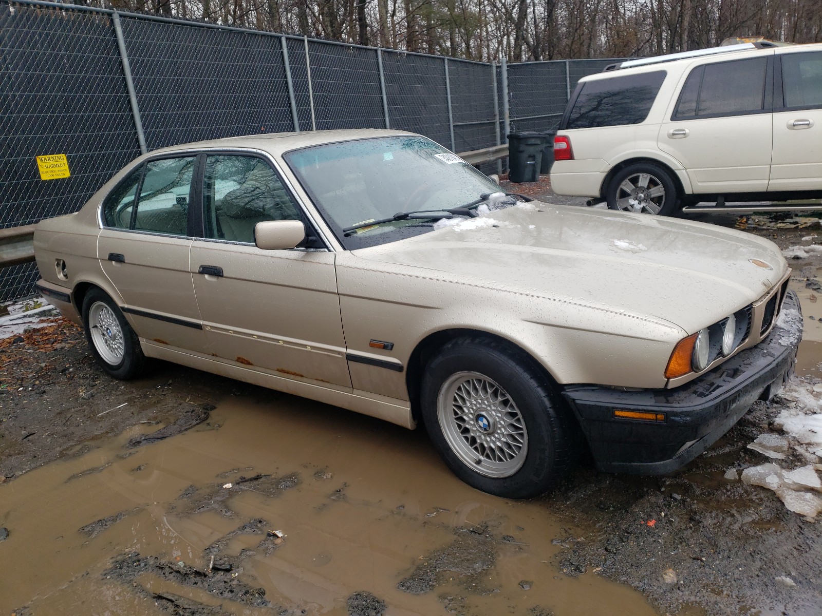 BMW 525 I AUTO 1995 wbahd632xsgk51705