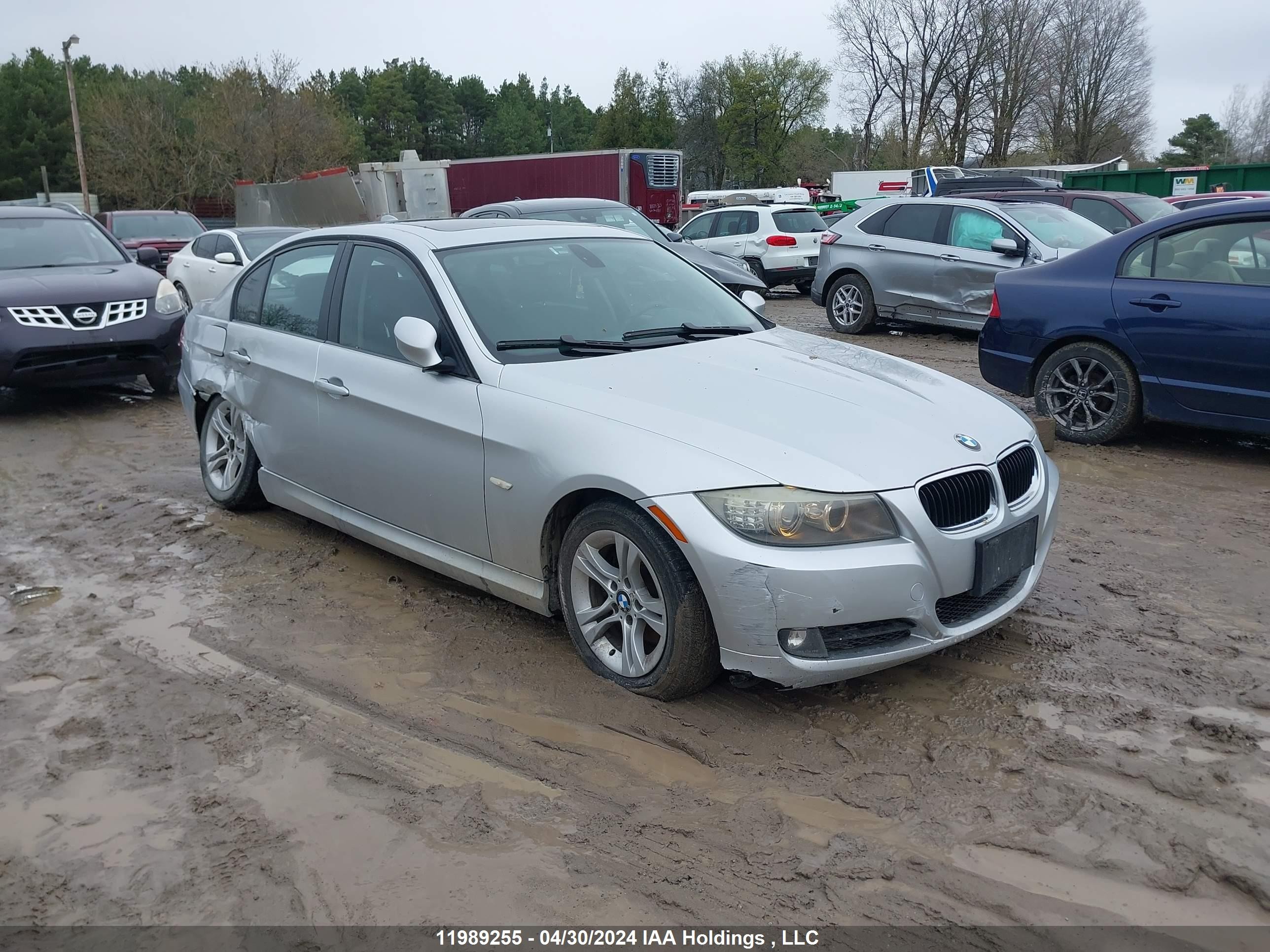 BMW 3ER 2009 wbaph73539a173152