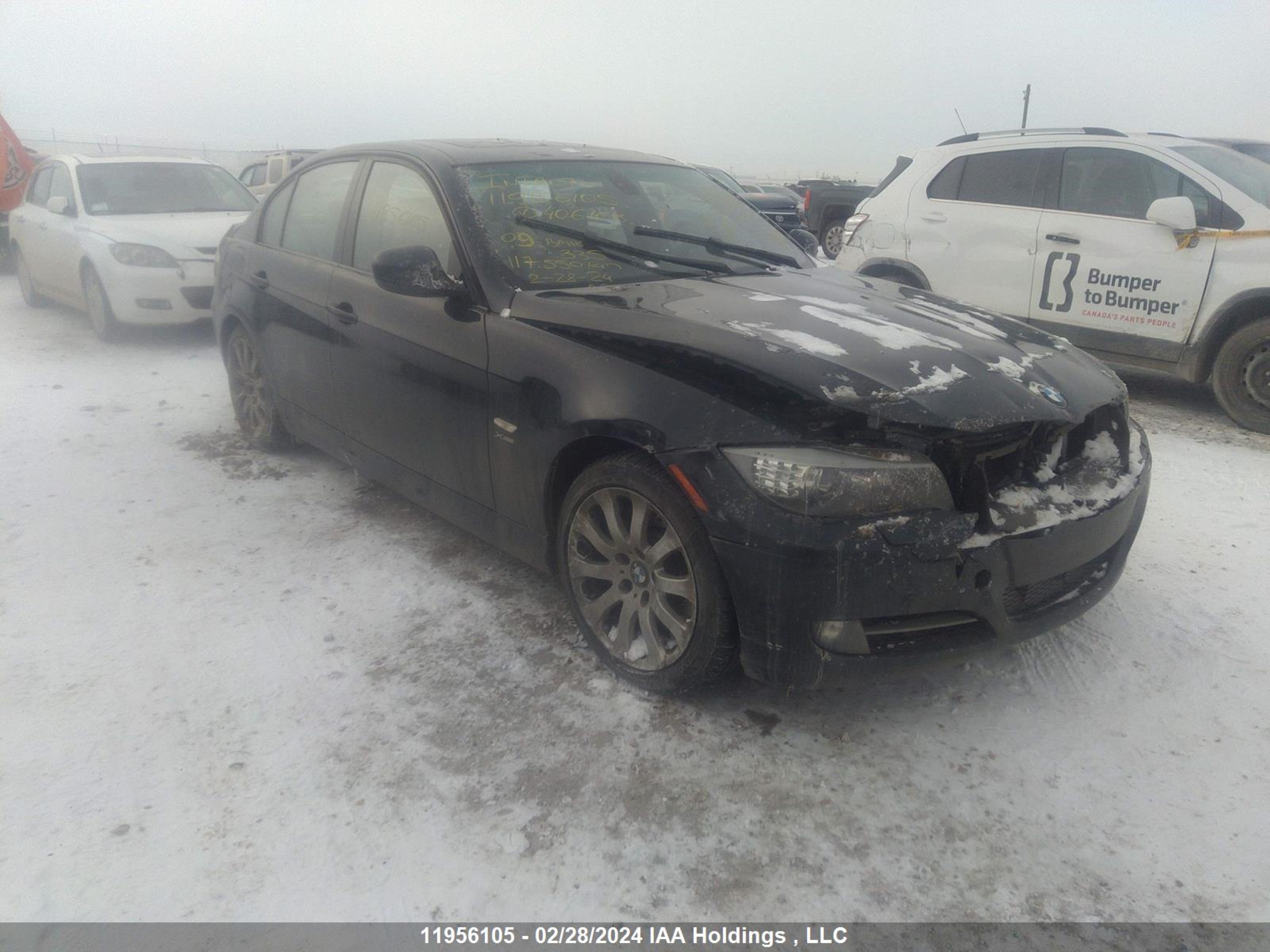 BMW 3ER 2009 wbapl33569a406108