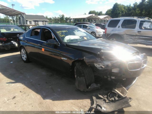 BMW 5 SERIES 2013 wbaxh5c52ddw12160