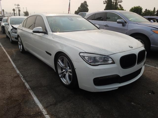 BMW 750 LI 2013 wbaye8c51dd132111