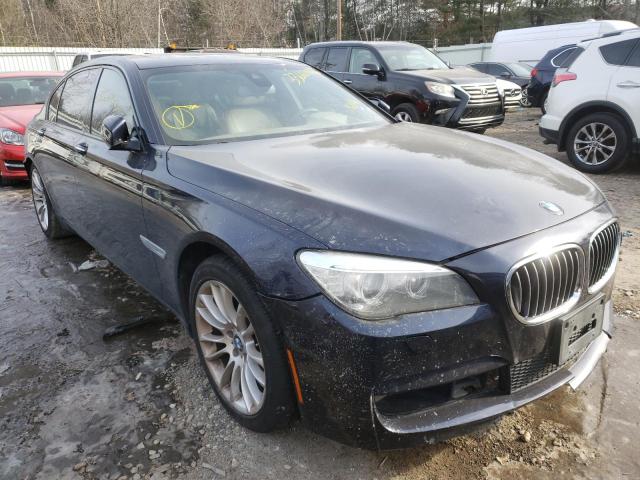 BMW 750 LI 2013 wbaye8c57dd134137