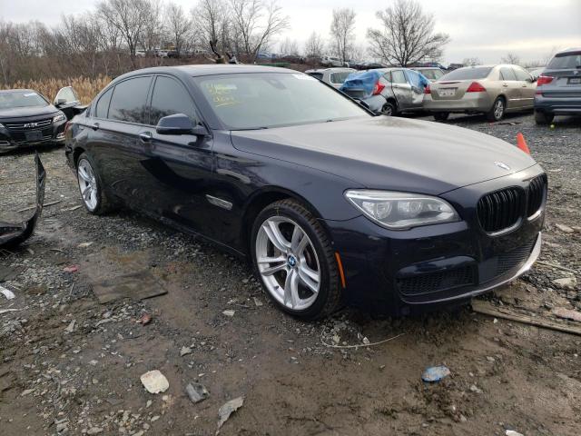 BMW 7 SERIES 2014 wbayf8c54ed653824