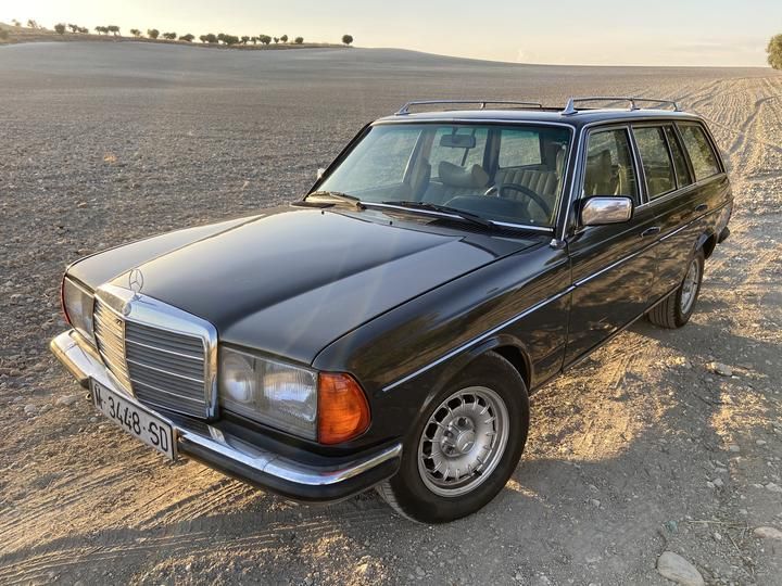 MERCEDES-BENZ NULL 1984 wdb1231831f020819