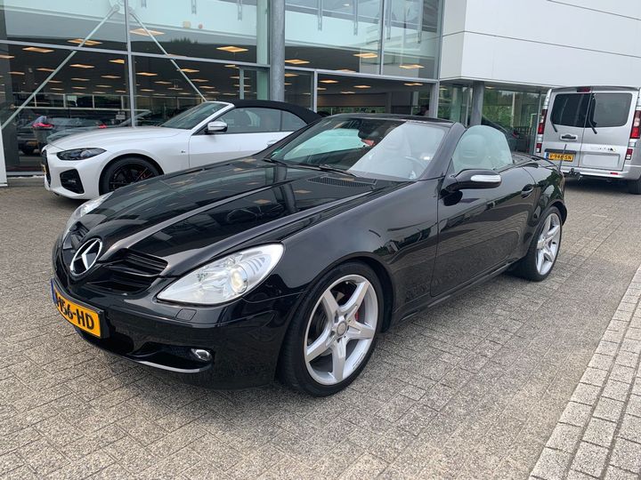 MERCEDES-BENZ SLK-KLASSE 2008 wdb1714541f165199