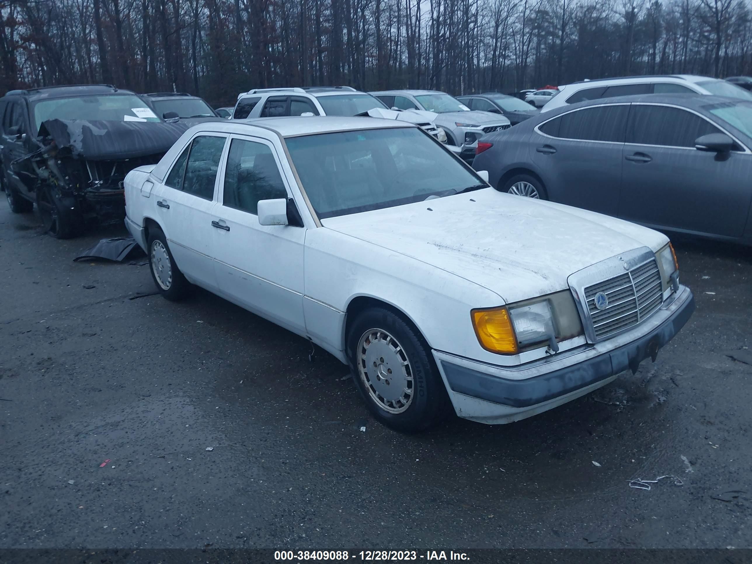 MERCEDES-BENZ NULL 1991 wdbea30d6mb359594