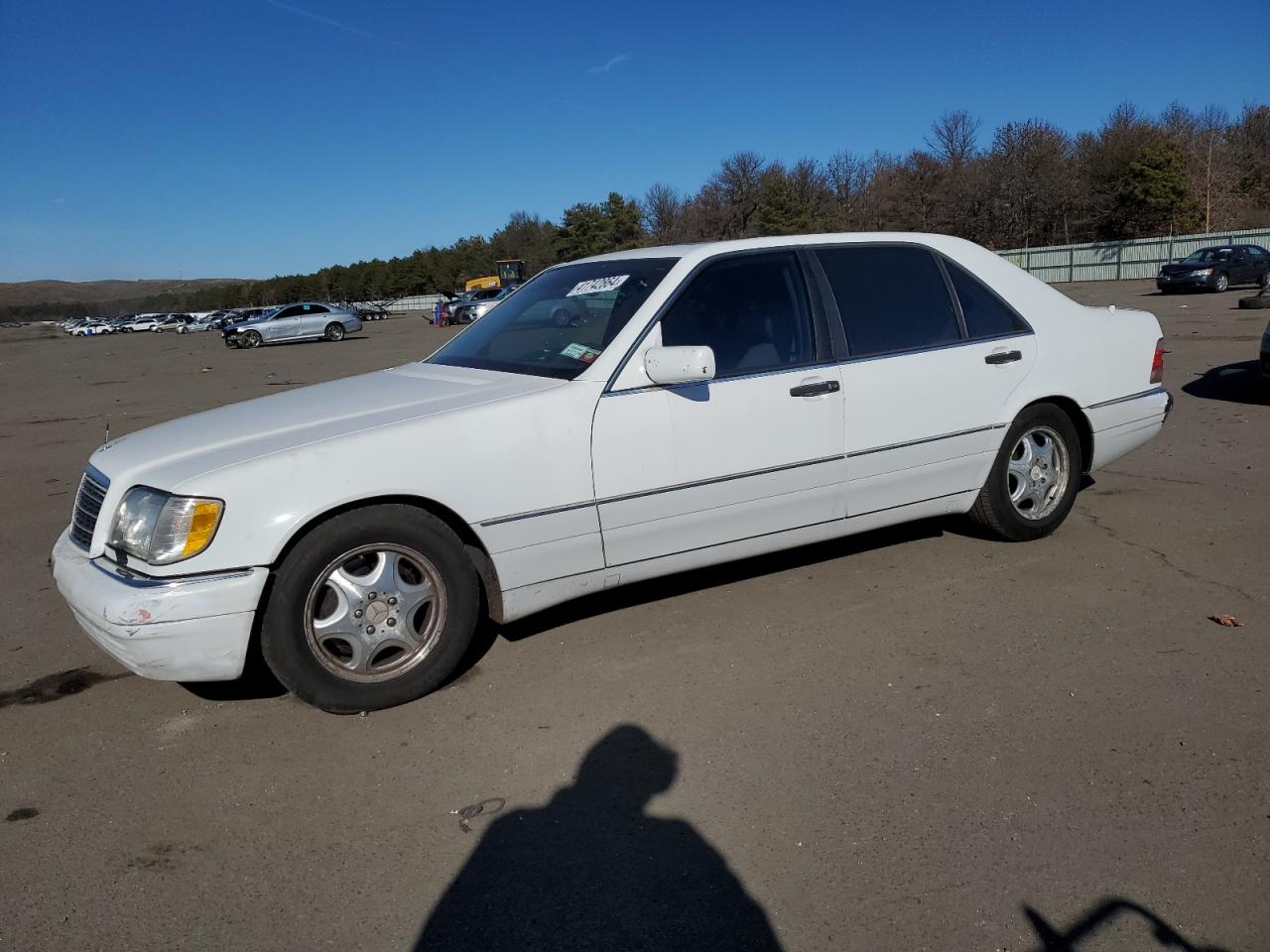 MERCEDES-BENZ S-KLASSE 1997 wdbga43g4va354020