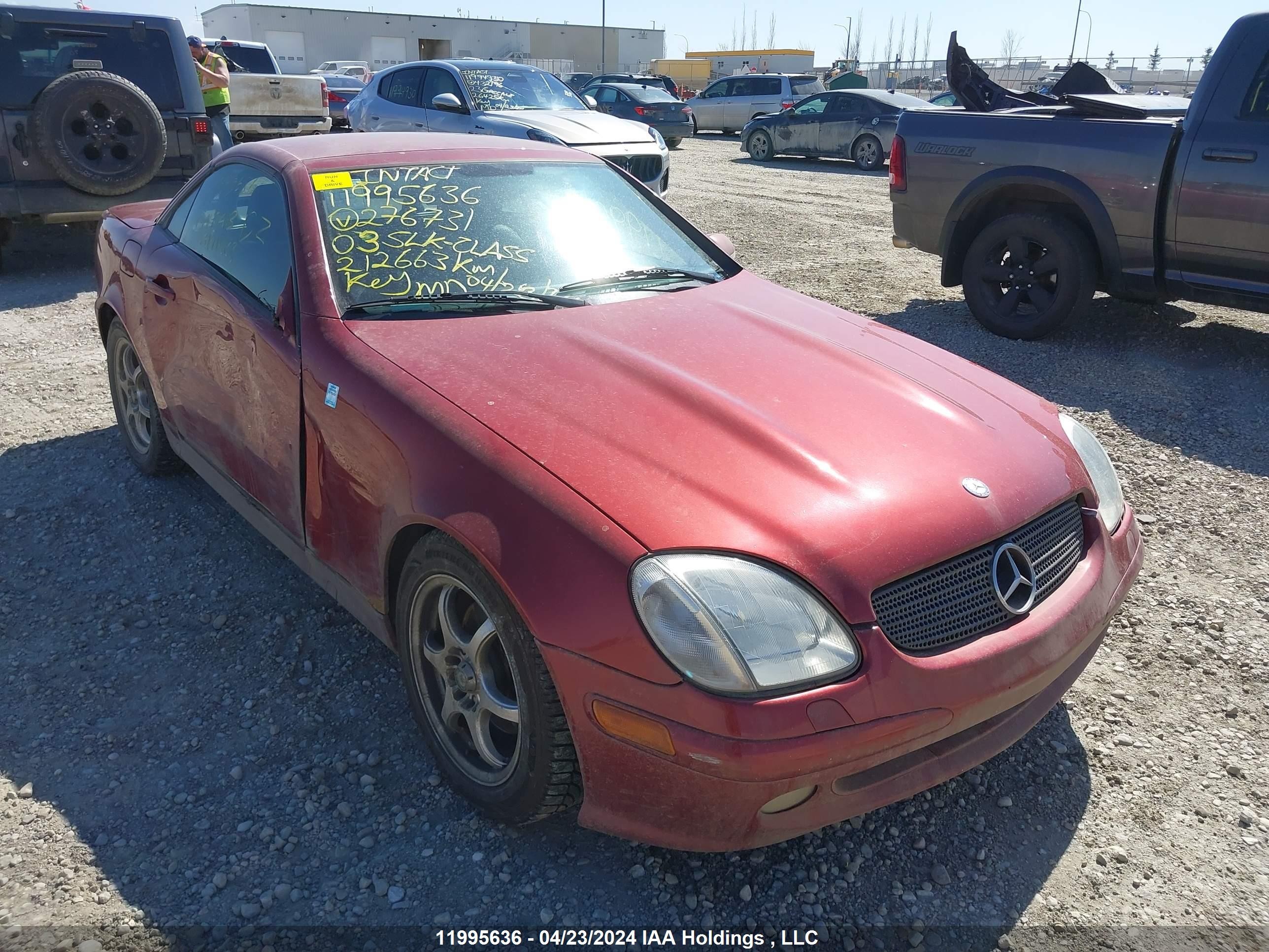 MERCEDES-BENZ SLK-KLASSE 2003 wdbkk49f03f276731