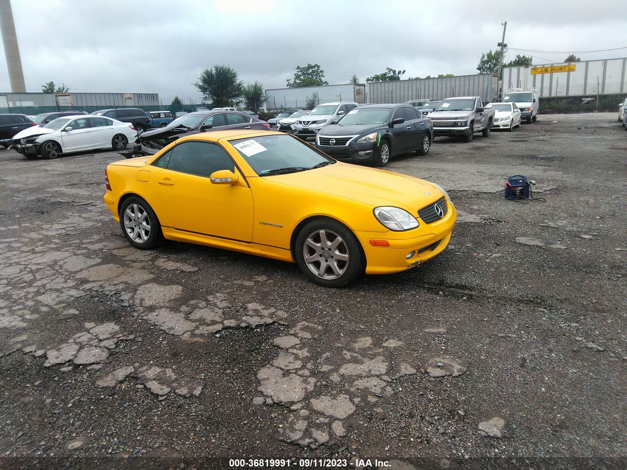 MERCEDES-BENZ SLK-KLASSE 2003 wdbkk49f03f282559