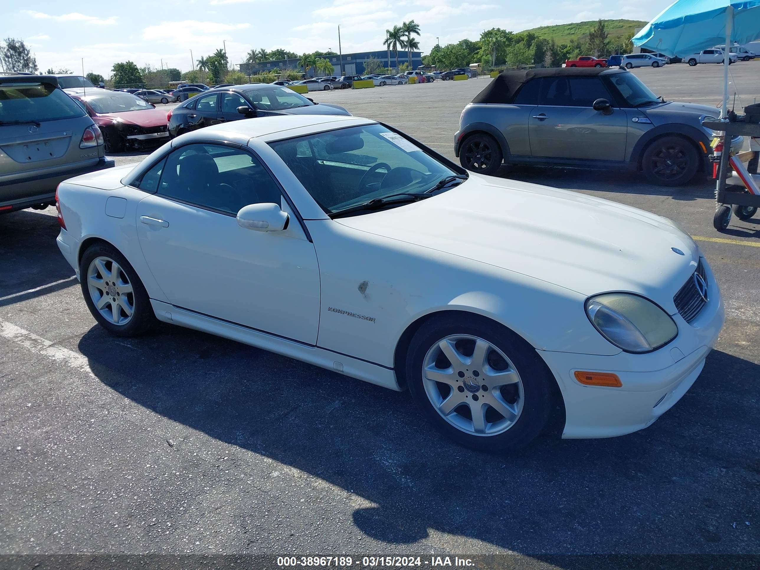 MERCEDES-BENZ SLK-CLASS 2004 wdbkk49f04f310572