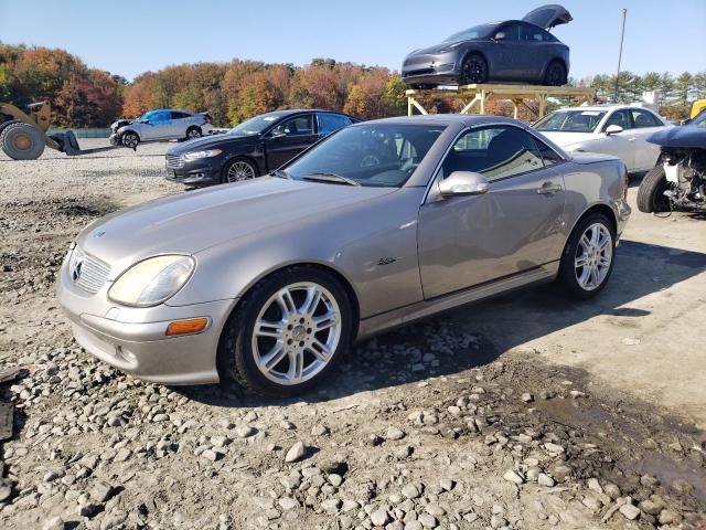 MERCEDES-BENZ SLK-CLASS 2004 wdbkk49f34f293816