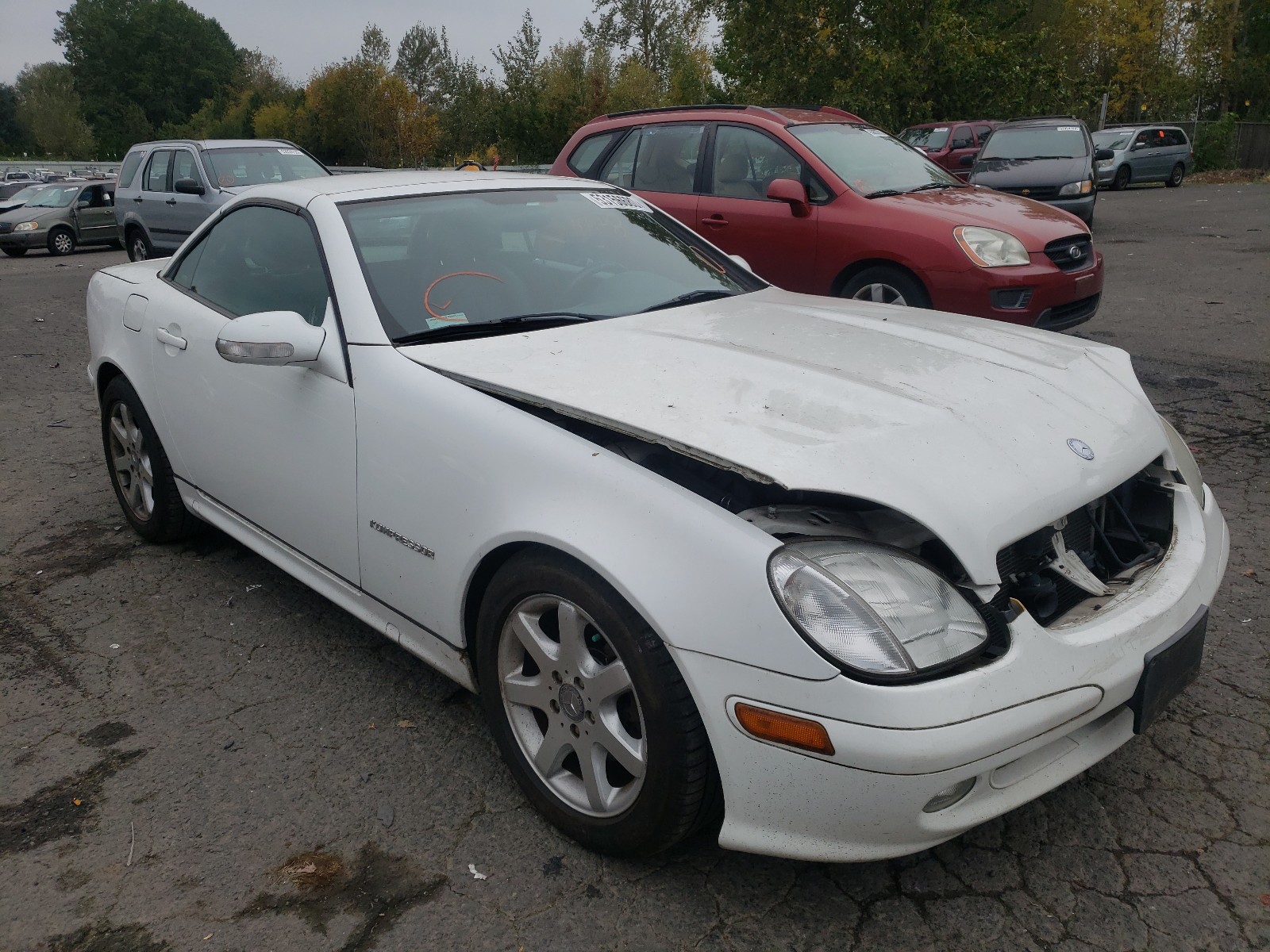 MERCEDES-BENZ SLK 230 KO 2001 wdbkk49fx1f190758