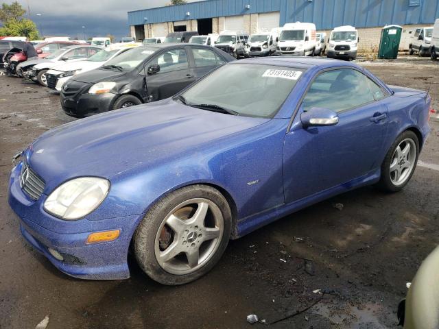 MERCEDES-BENZ SLK-CLASS 2004 wdbkk65f14f307245