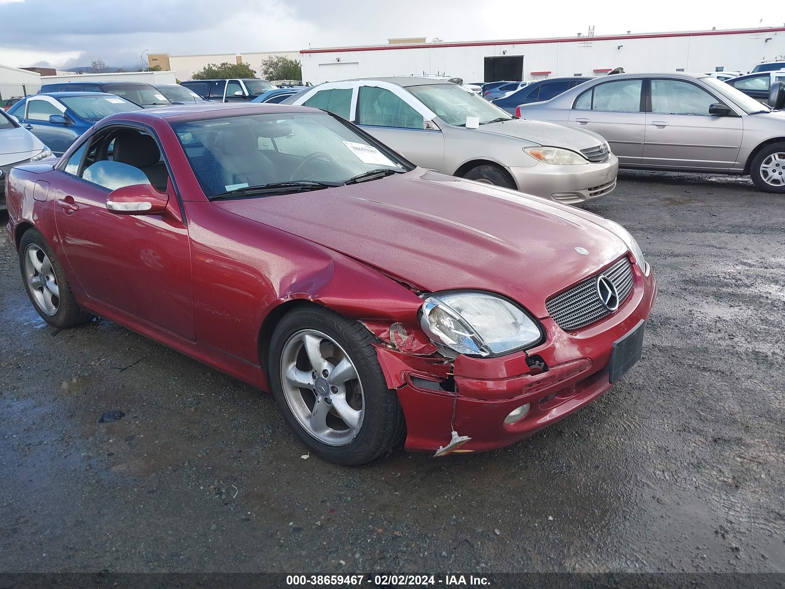 MERCEDES-BENZ SLK-KLASSE 2004 wdbkk65f54f302694