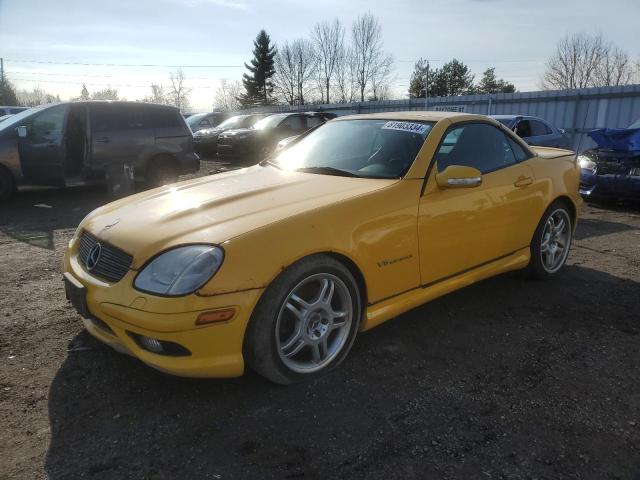 MERCEDES-BENZ SLK 32 AMG 2003 wdbkk66fx3f295707