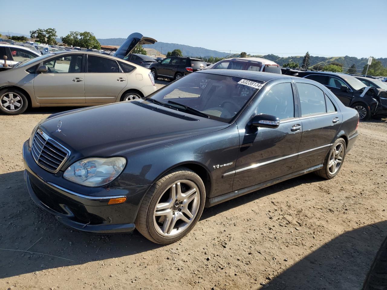 MERCEDES-BENZ S-KLASSE 2003 wdbng74j33a332864