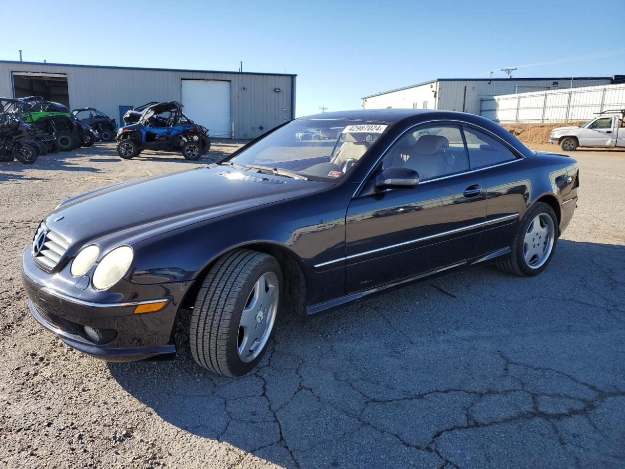 MERCEDES-BENZ CL-KLASSE 2002 wdbpj75j32a031194