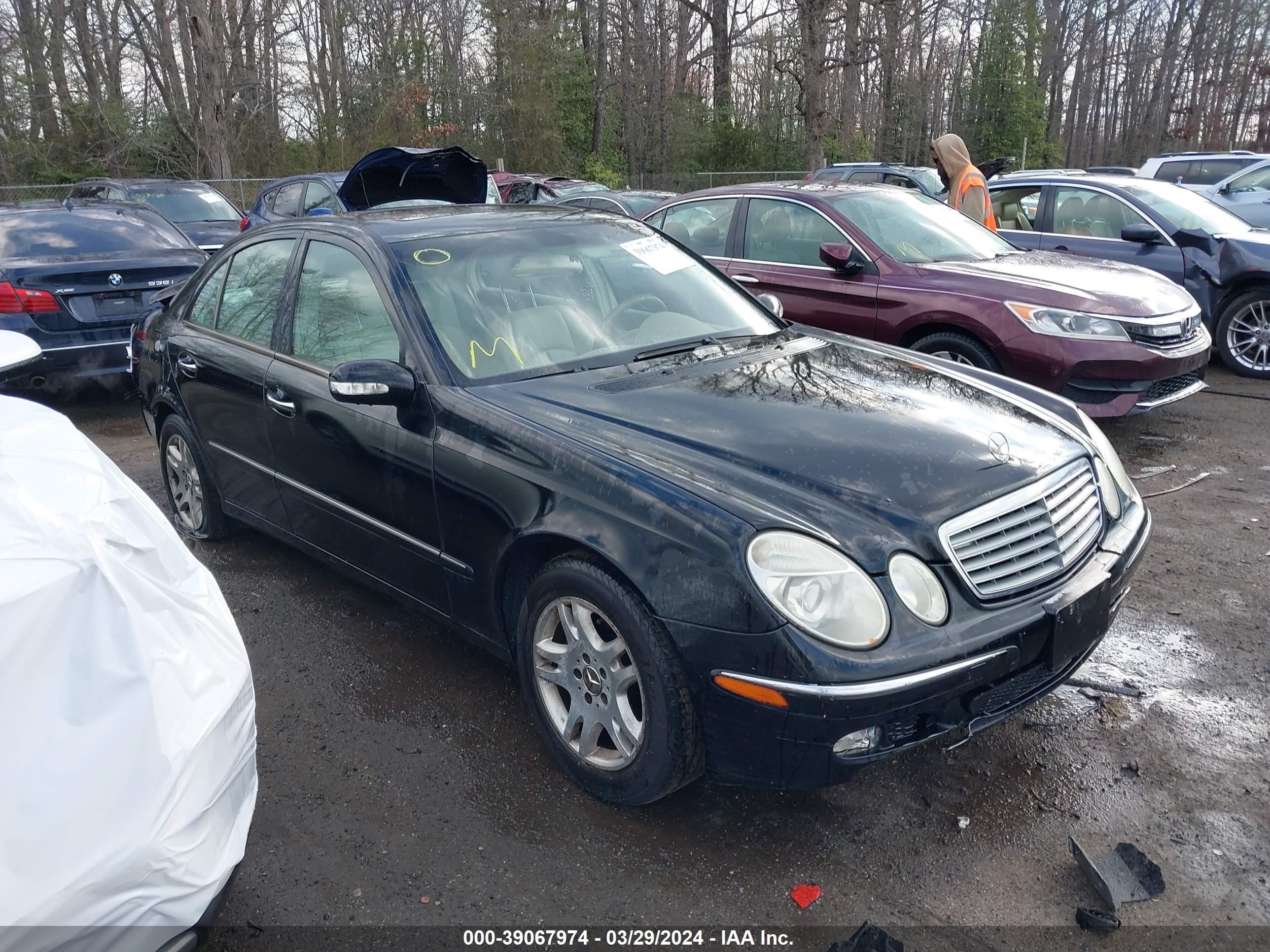 MERCEDES-BENZ NULL 2004 wdbuf65j44a440239