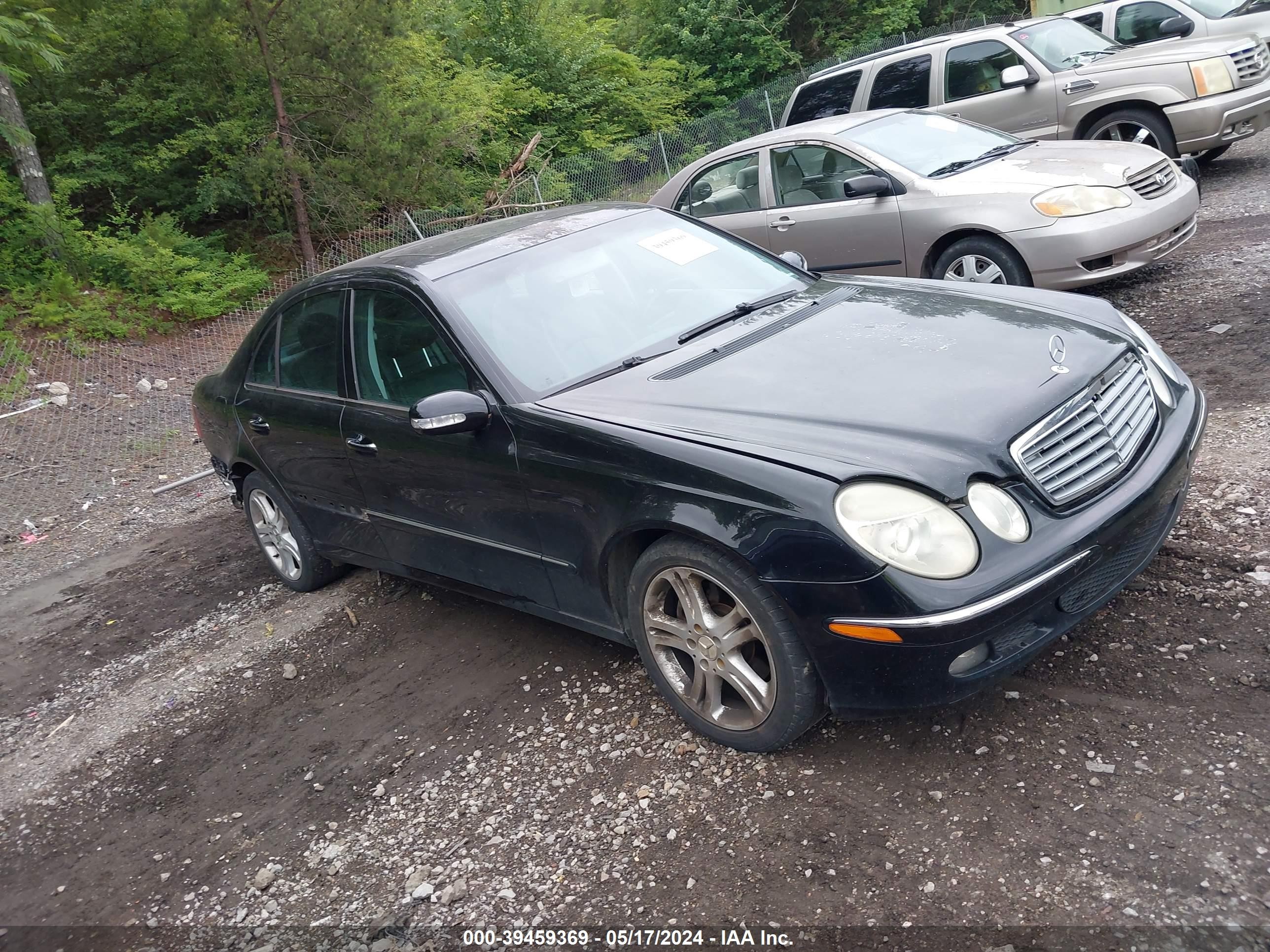 MERCEDES-BENZ NULL 2006 wdbuf87j36x188170