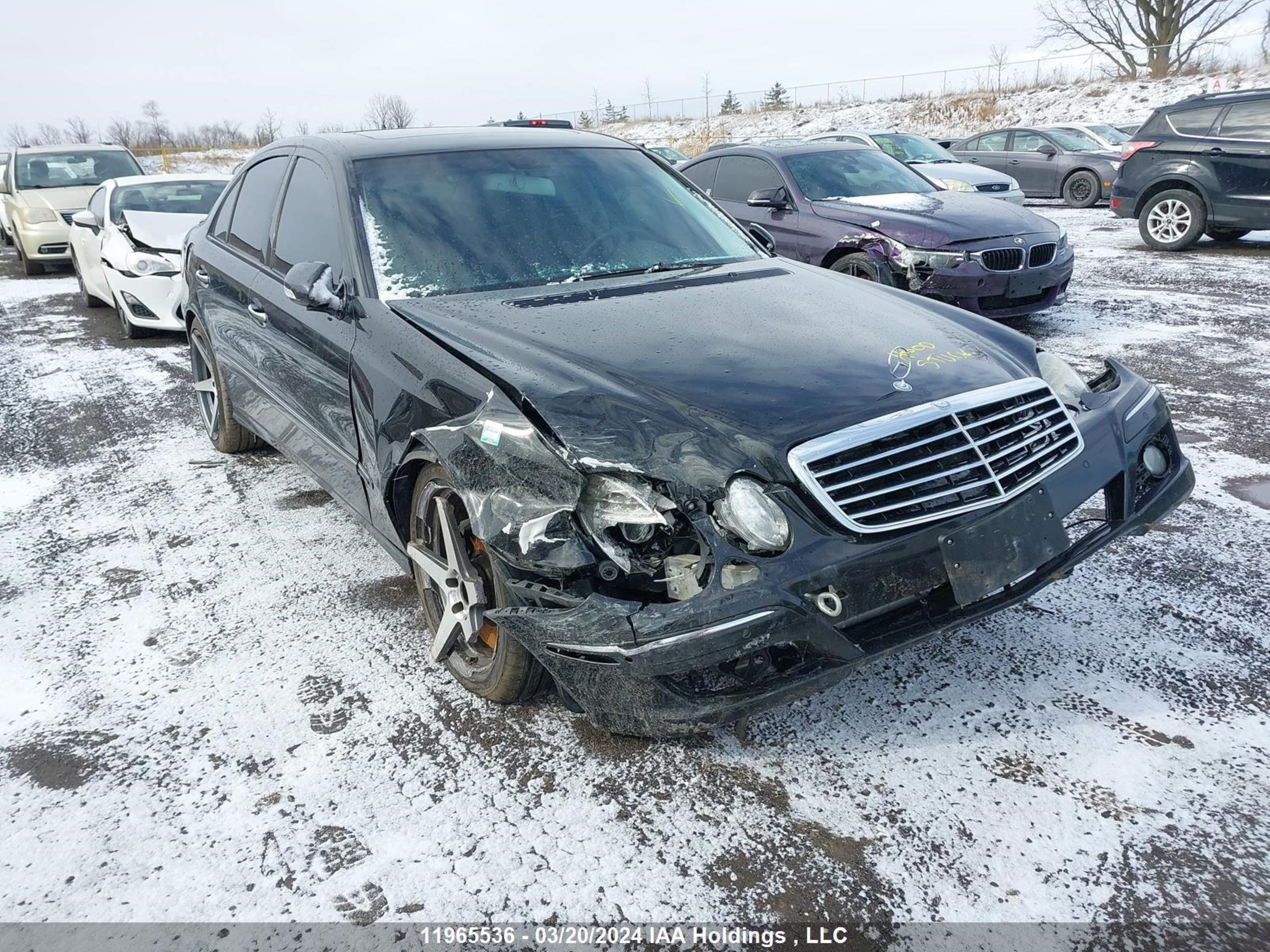 MERCEDES-BENZ E-KLASSE 2009 wdbuf92x19b437939