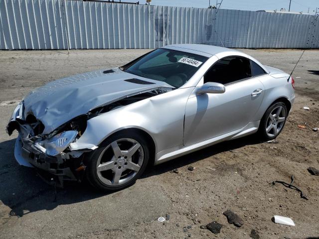 MERCEDES-BENZ SLK-CLASS 2006 wdbwk54f06f083448