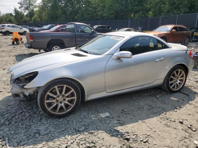 MERCEDES-BENZ SLK-CLASS 2006 wdbwk56f86f110456