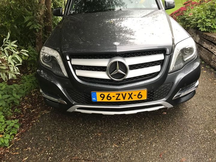 MERCEDES-BENZ GLK-KLASSE 2013 wdc2049011f959204