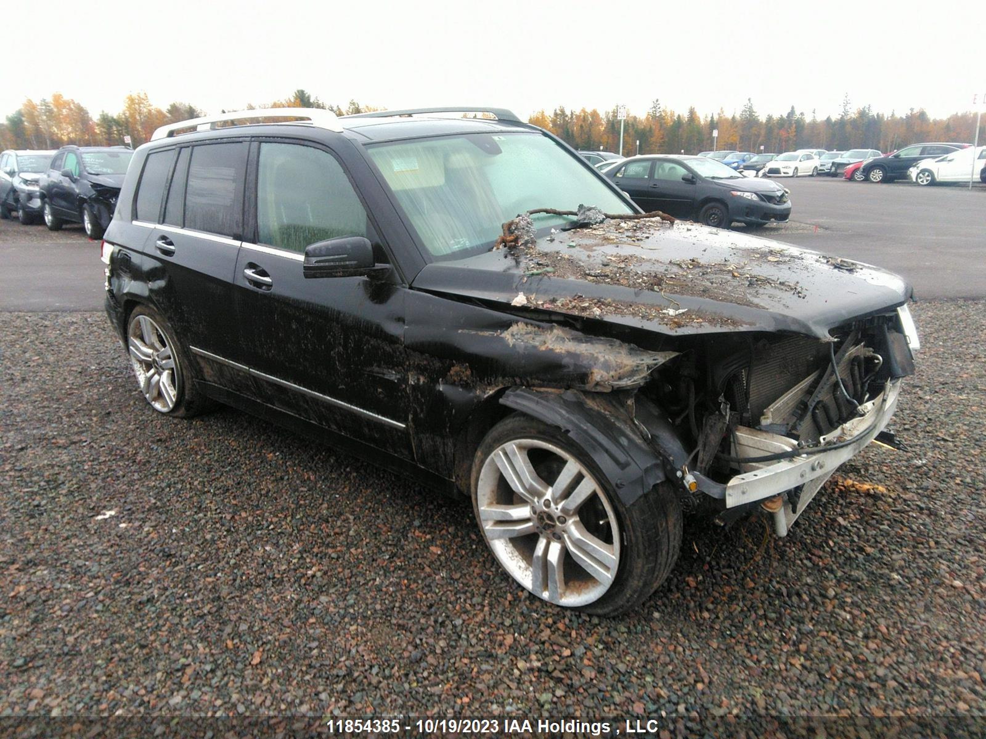 MERCEDES-BENZ GLK-KLASSE 2012 wdcgg8hb7cf823485