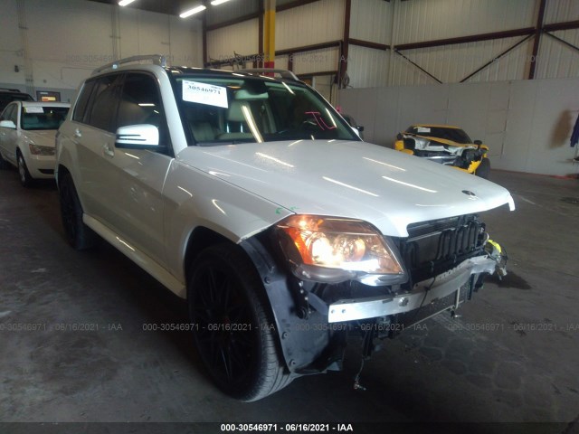 MERCEDES-BENZ GLK-CLASS 2010 wdcgg8hb9af399126