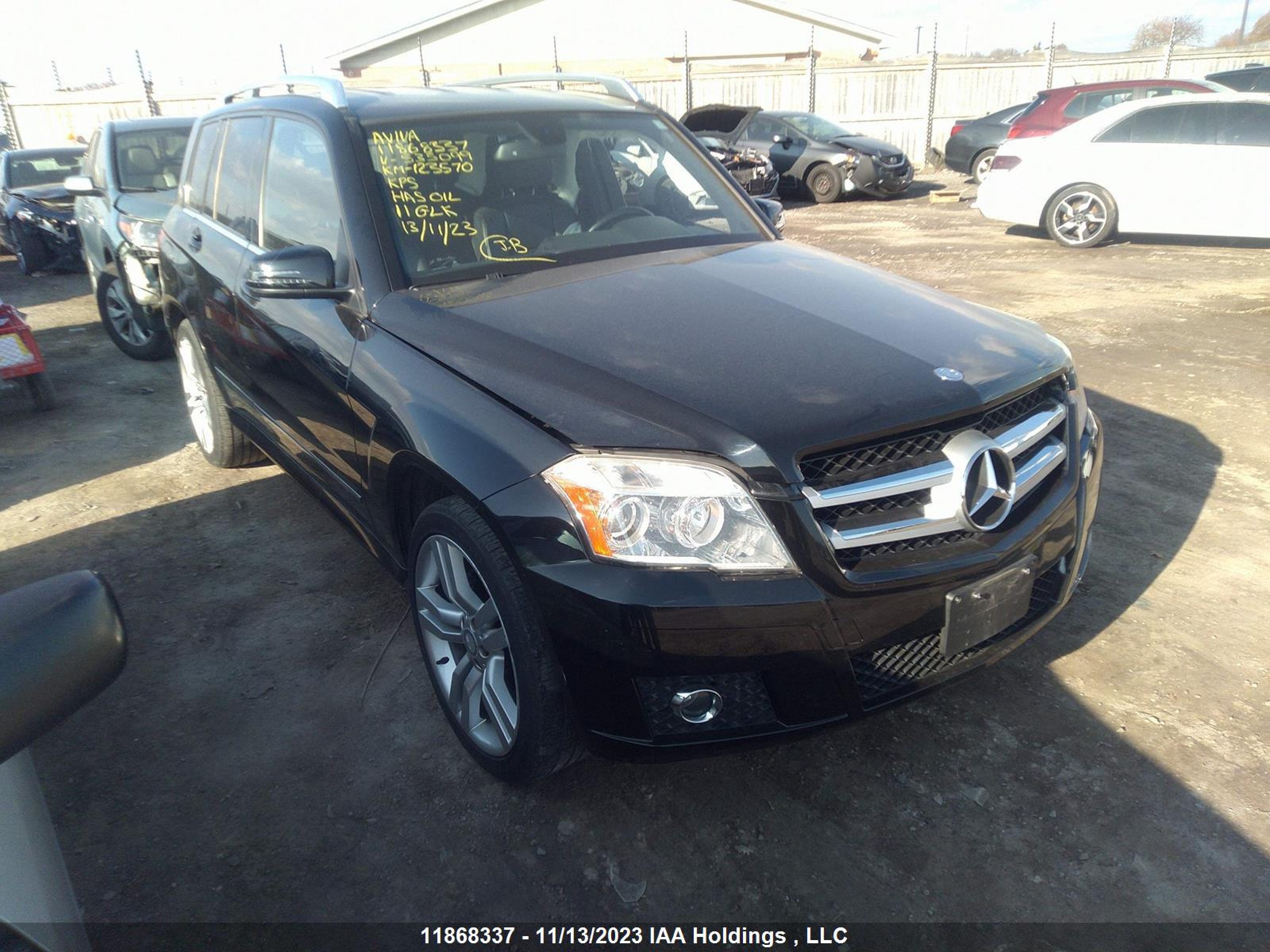 MERCEDES-BENZ GLK-KLASSE 2011 wdcgg8hbxbf535099