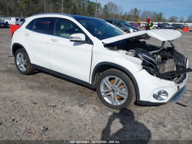 MERCEDES-BENZ GLA 250 2019 wdctg4eb9ku020117