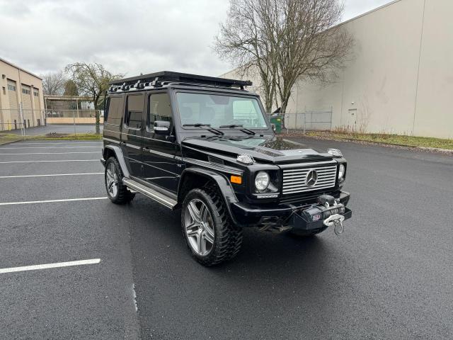 MERCEDES-BENZ G-CLASS 2003 wdcyr46e53x138254