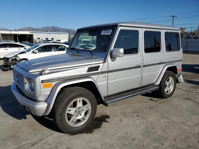 MERCEDES-BENZ G-CLASS 2003 wdcyr49e33x141374