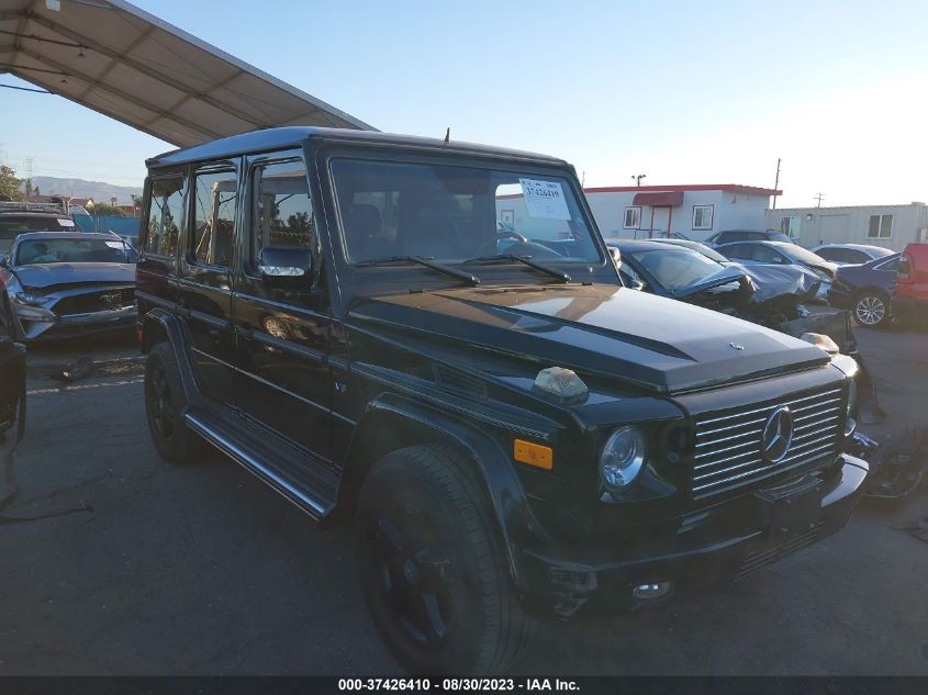 MERCEDES-BENZ G-KLASSE 2008 wdcyr49e48x171815