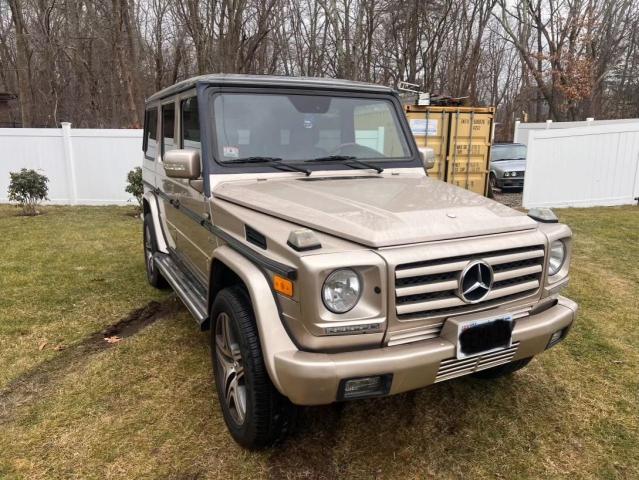 MERCEDES-BENZ G-CLASS 2002 wdcyr49e52x130326