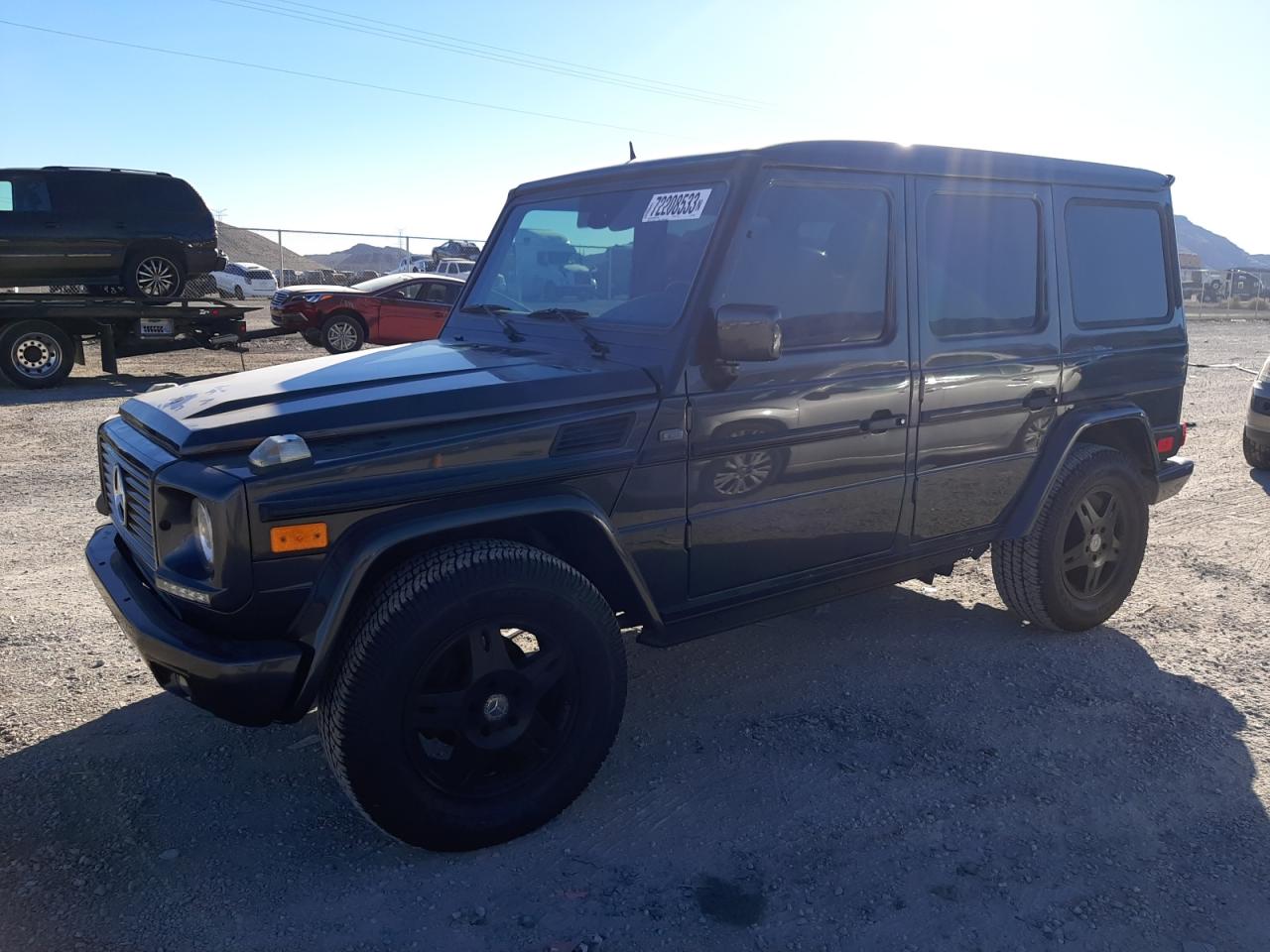 MERCEDES-BENZ G-KLASSE 2002 wdcyr49e52x130343