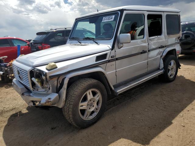 MERCEDES-BENZ G 500 2002 wdcyr49e62x133266